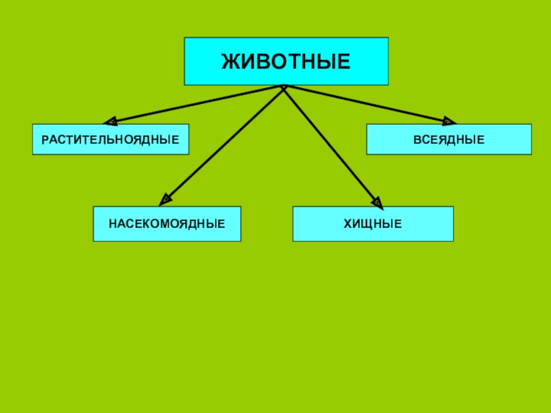 Питание животных окружающий мир 2 класс презентация