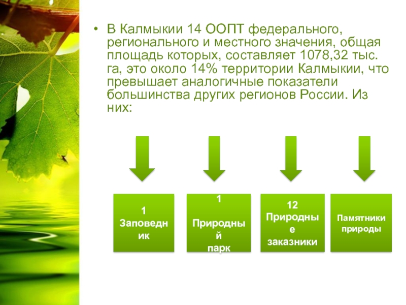 Оопт федерального значения карта