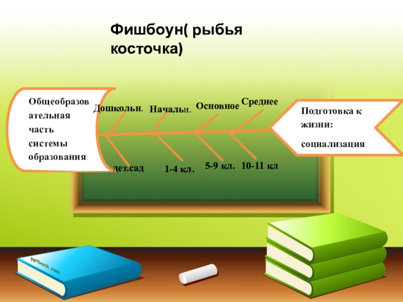 Образование 8