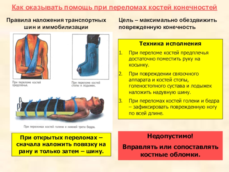 Оказание помощи при переломах. Оказание первой помощи при переломах костей конечностей. Оказание первой помощи при переломе нижних конечностей. Алгоритм оказания первой помощи при переломах костей конечностей. ПМП при переломах конечностей.