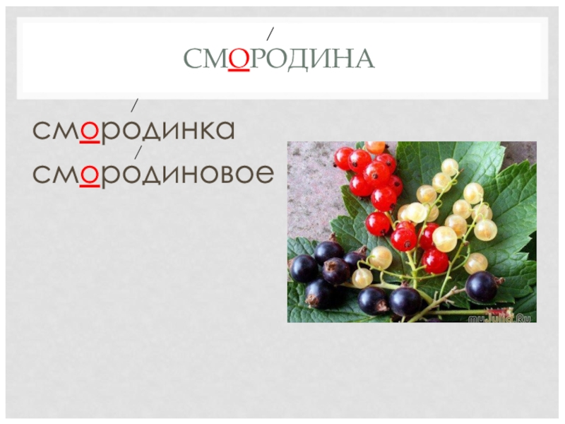 происхождение слова смородина. составить слова из слова смородина. этимология слова смородина. составь слова из слова смородина. слова из букв на номерах.