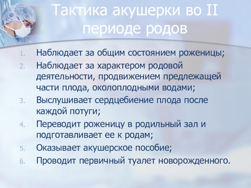 Тактика род