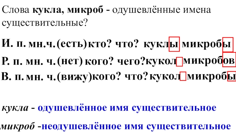 Кукла одушевленное или неодушевленное существительное. Одушевленные имена существительные ( кукла, микроб). Микроб одушевленное или неодушевленное существительное. Слово кукла одушевленное. Слово микроб одушевленное или неодушевленное существительное.