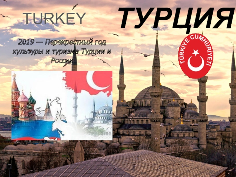Год Турции и России 2019 (для 4-11 классов)