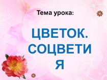 Презентация по биологии на тему: Цветок. Соцветия (6 класс)