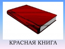 Сложение и вычитание двузначных чисел в пределах 100. ( Закрепление.)