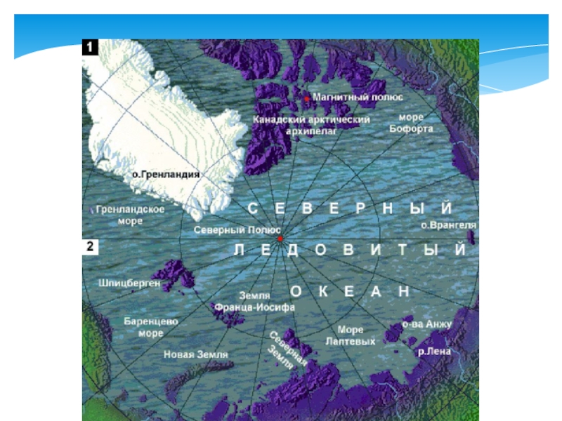 План характеристики географического положения арктики