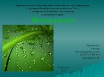 Презентация по биологии на тему: Фотосинтез (9-10 класс).