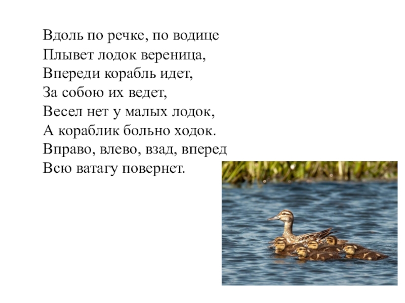 Плывет вдоль. Вдоль по речке по Водице плывет. Вдоль по речке по Водице плывет лодок вереница впереди корабль идет. Вдоль потреске по вобице. Вдоль по речке.