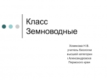 Презентация по биологии на тему Земноводные (7 класс)
