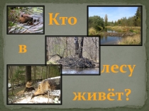 Презентация по окружающему миру на тему: Кто в лесу живёт?