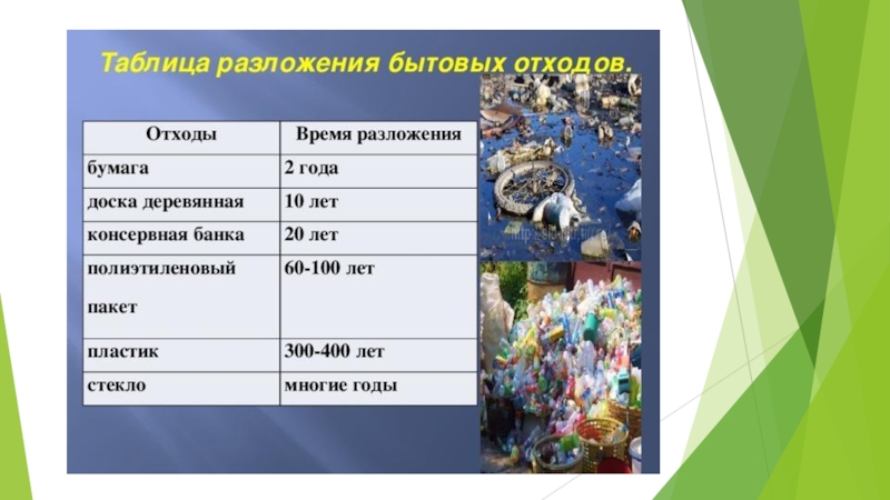 Деревянные изделия время разложения. Время разложения отходов. Пластик срок разложения. Продолжительность разложения отходов. Сроки разложения пластиковых отходов.