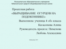 Презентация Выращивание огурца на подоконнике (4 класс)