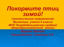 Презентация Покормите птиц зимой