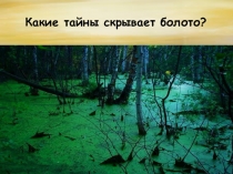 Презентация по окружающему миру Какие тайны скрывает болото