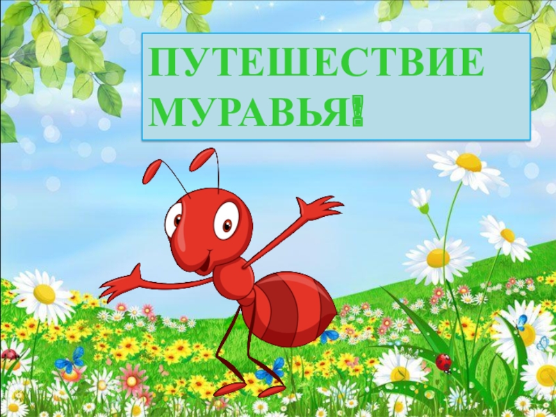 Приключения муравья