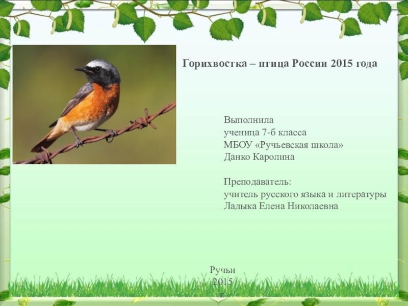 Птица года список. Птицы года в России. Птица года 2015 горихвостка. Горихвостка птица описание. Горихвостка для детей описание.