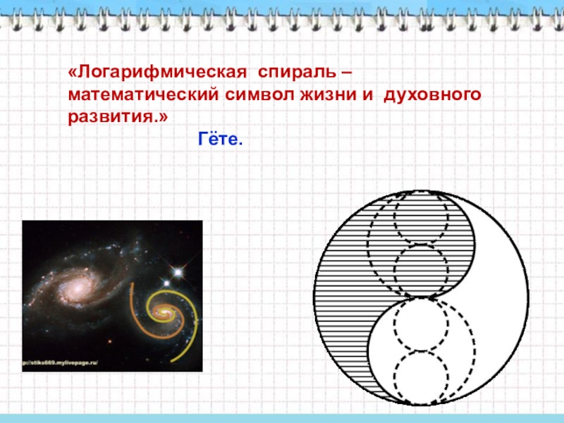 Логарифмическая спираль проект