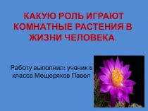 Проект по биология Роль комнатных растений