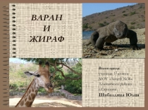 Окружающий мир. Хищники и растительноядные животные