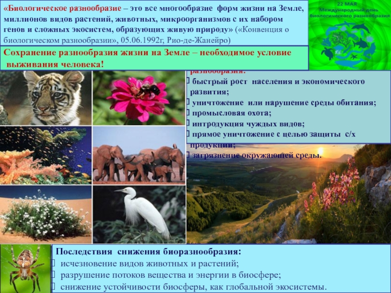 Многообразие биологических видов