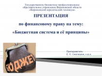 Презентация по финансовому праву на тему Бюджетная система и её принципы