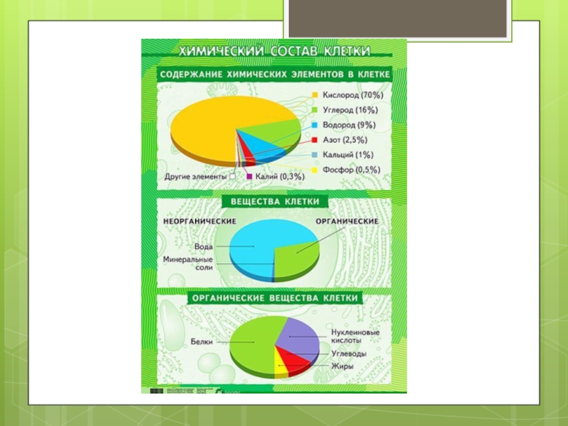 Химический состав клетки 5 класс круговая диаграмма. Диаграмма неорганических веществ в клетке. Схема вещества клетки 5 класс биология. Составьте схему химический состав клетки. Химический состав клетки 5 класс.