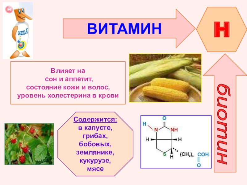 Витамин u презентация