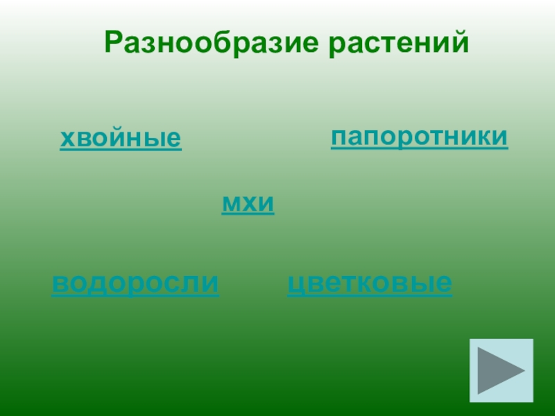 Разнообразие растений видеоурок