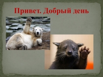 Презентация к бинарному уроку по биологии и математике на тему О вреде курения языком биологии и математики (8 класс)