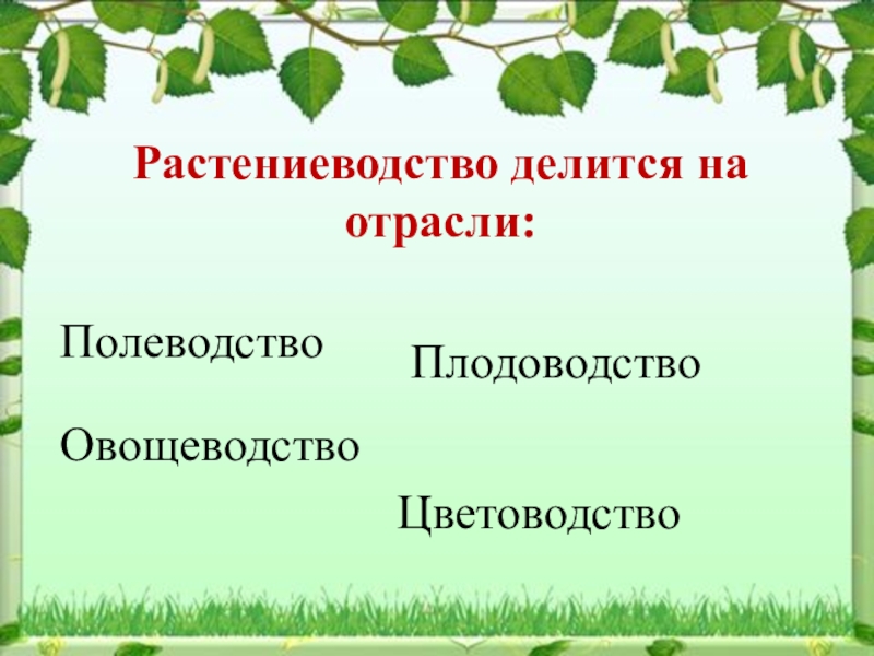 Растениеводство 3 класс окружающий мир презентация