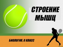 Презентация к уроку биологии в 8 классе на тему Мышцы и их строение