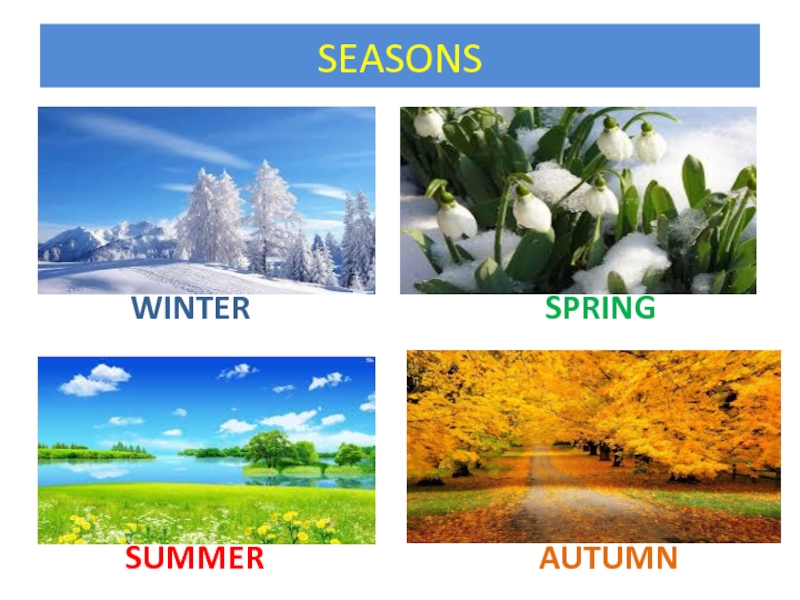 Seasons in russia. Времена года на английском.