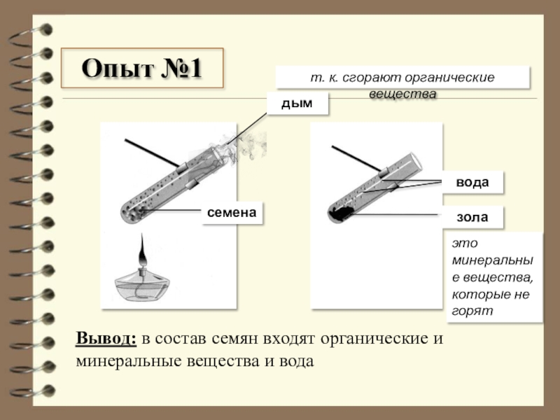 Работы 6 класс презентация