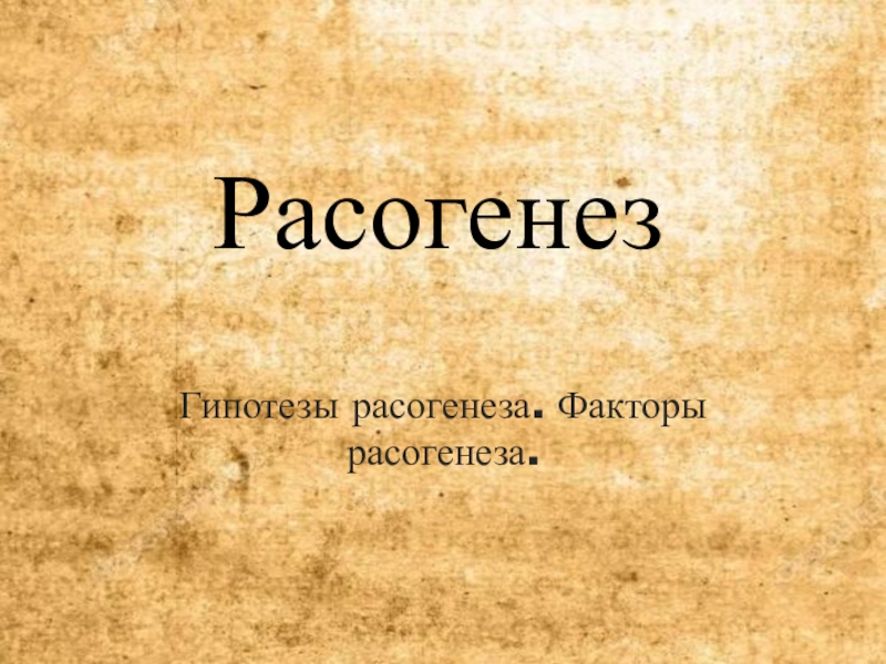 Гипотезы расогенеза схема