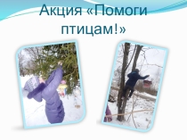 Отчет в рамках акции Покорми птиц!