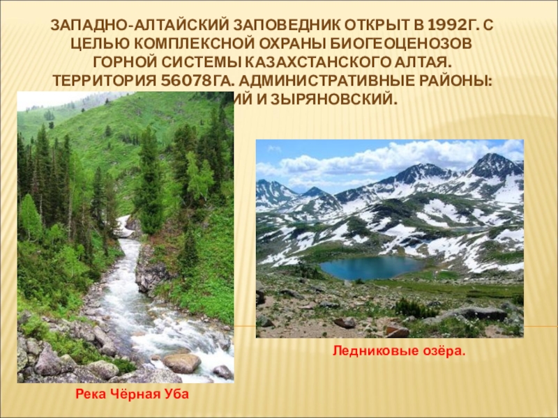 Целью заповедников является. Особо охраняемые Западно Алтайский заповедник. Презентация на тему Западно Алтайский заповедник. Алтайский заповедник объект охраны. Алтайский заповедник причина охраны.