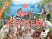Презентация В мире животных