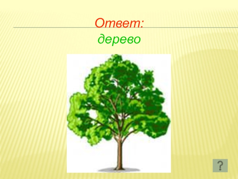 Дерево отвечает. Дерево ответов. Дерево отвечает на вопрос. И это правильный ответ дерево. Задание отгадка дерево.