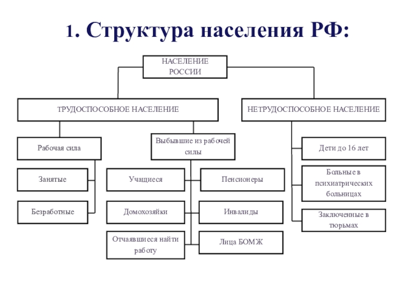 Структура населения презентация