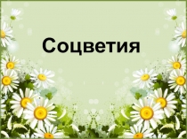 Презентация по биологии Соцветия. Биологическая роль соцветий
