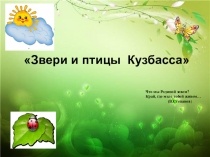 Презентация Звери и птицы Кузбасса