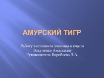 Амурский тигр Проект по окружающему миру