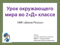 Презентация урока по окружающему миру на тему: Берегись автомобиля (2класс)