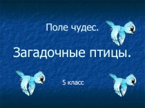 Презентация по биологии по теме Птицы 5 класс