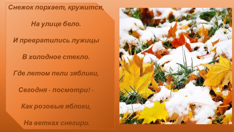 Снежок порхает кружится. Некрасов снежок порхает. Н.Некрасов снежок порхает кружится. И превратились лужицы в Холодное стекло.