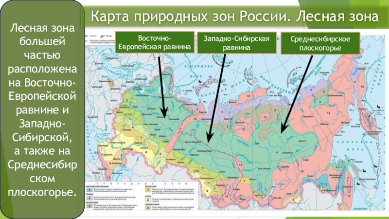 Природные зоны восточной. Природные зоны Западно сибирской равнины карта. Физическая карта России с природными зонами для 4 класса. Природные зоны Восточно европейской равнины на карте. Физическая карта природных зон.