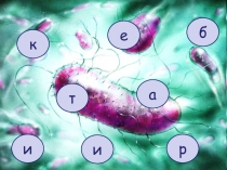 Презентация по биологии на тему Бактерии. Строение и жизнедеятельность (5 класс)