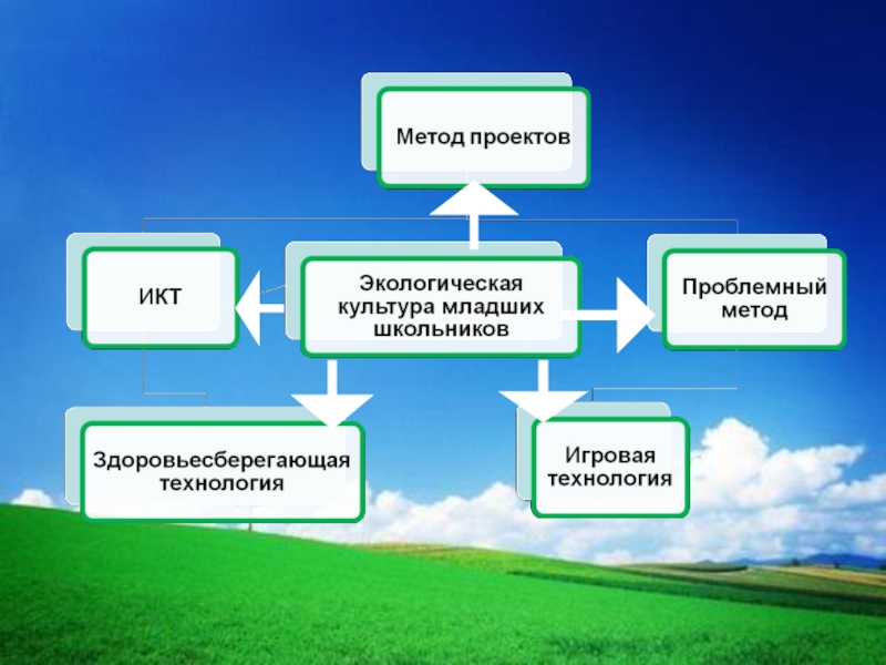 Проект экологическая культура