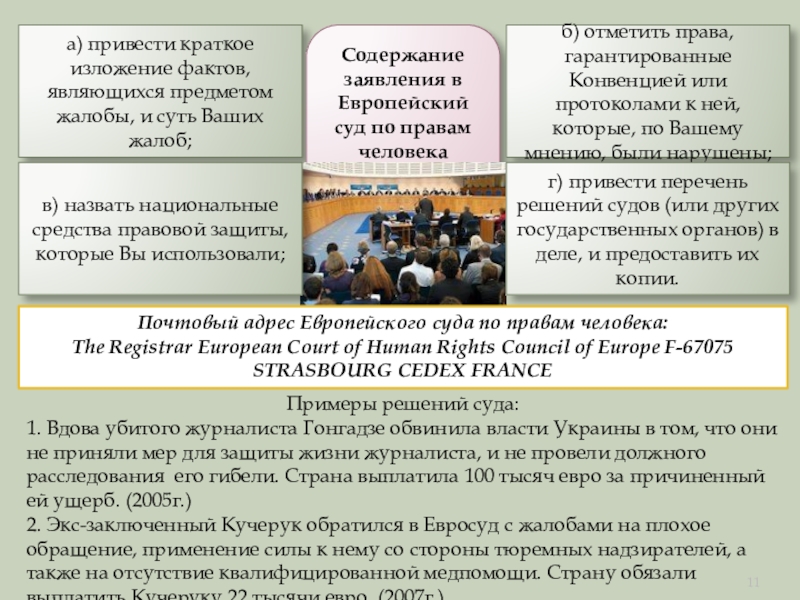 Изложение фактов. Изложение предмета жалобы в Европейский суд. Права гарантированные конвенцией. Изложение предмета жалобы.